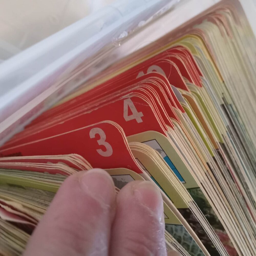 Part 1/2 : Editions Rencontres Animal Complete cards in French 1976 / 1978